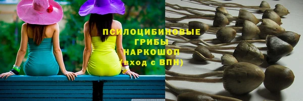 дурь Алексин