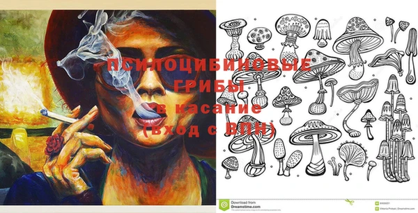 МДПВ Алексеевка