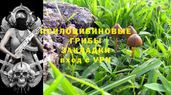 прущие крисы Алзамай