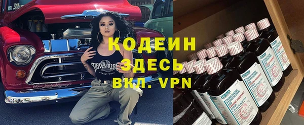 дурь Алексин